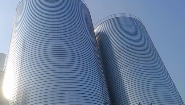 昌吉2座混凝土高架卷板仓